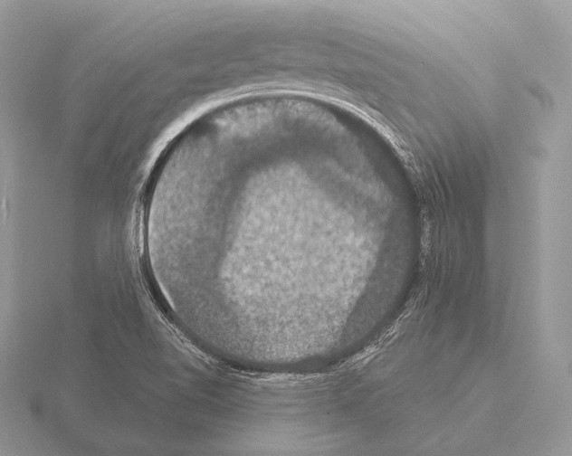 X0000115321510200912141147