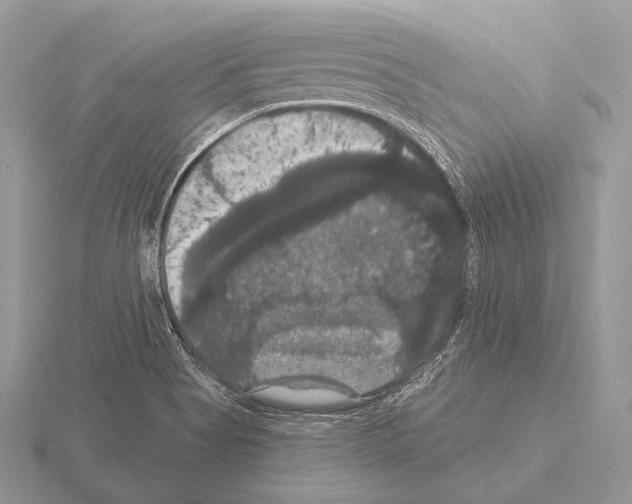 X0000115321513200912141147