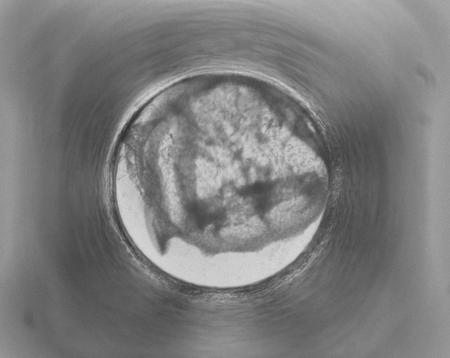 X0000115321517200912141147