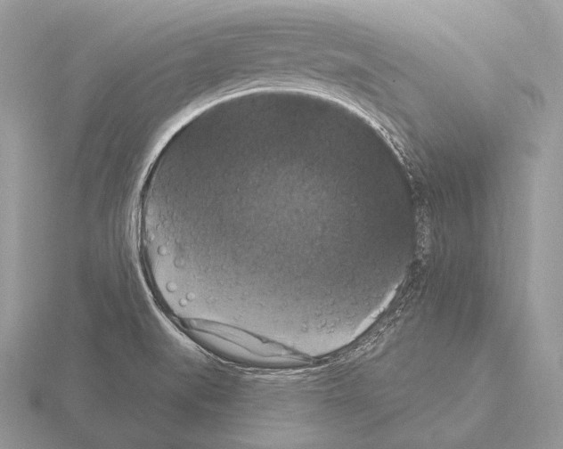 X0000115321519200912141147