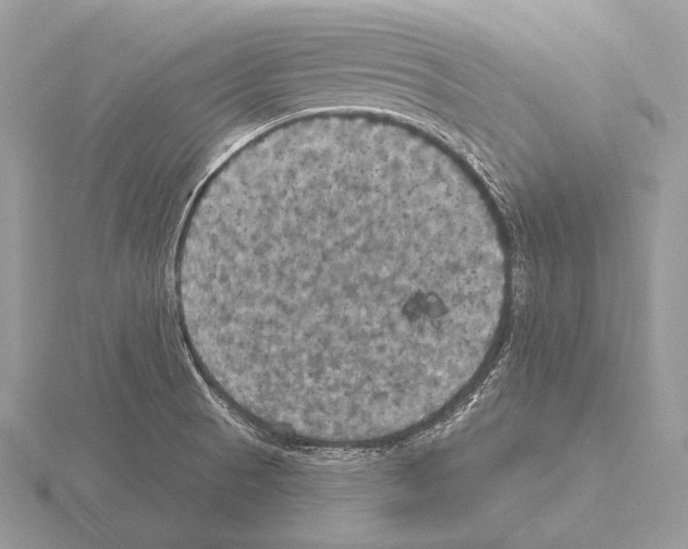 X0000115321521200912141147