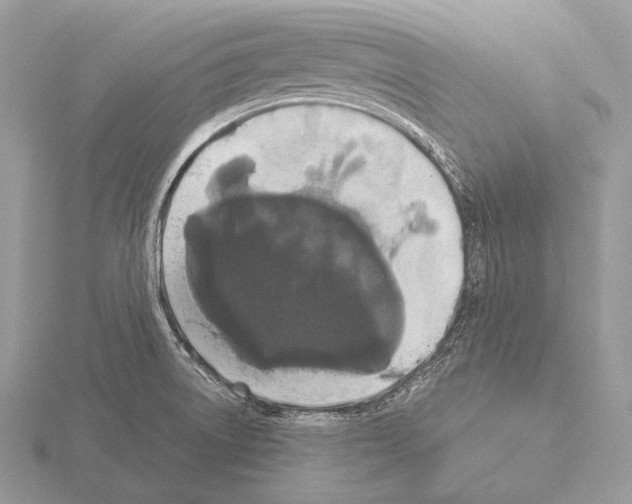 X0000115321522200912141147