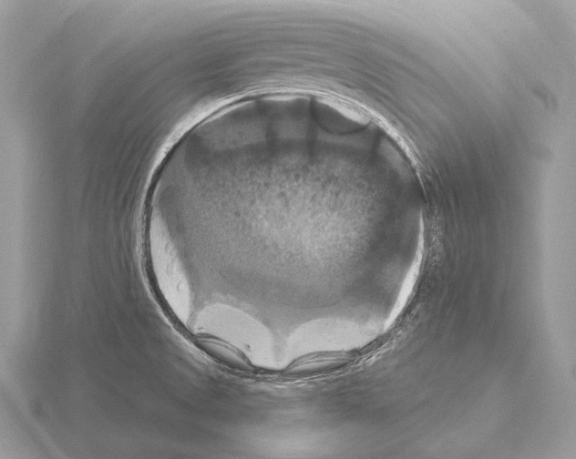 X0000115321525200912141147