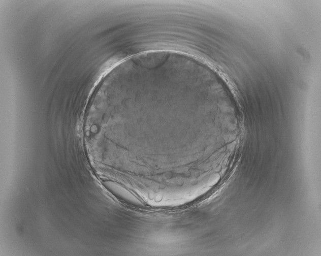 X0000115321529200912141147