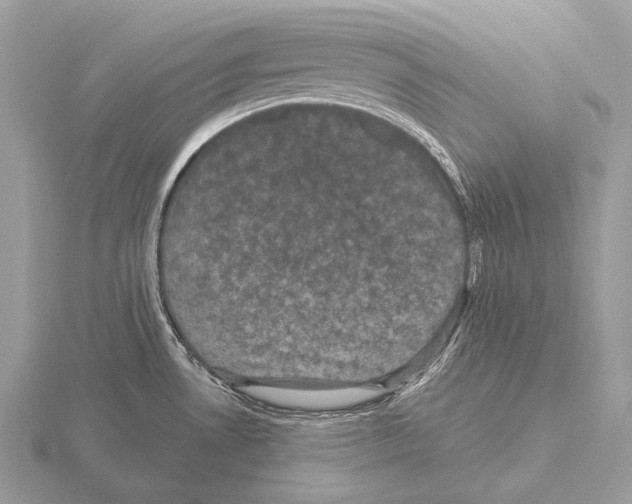 X0000115321530200912141147