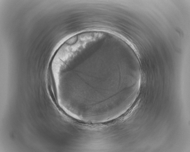 X0000115321533200912141147