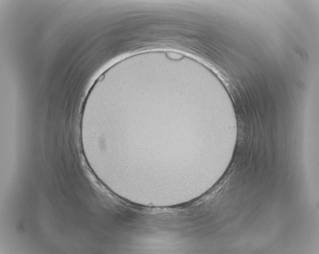 X0000115321534200912141147