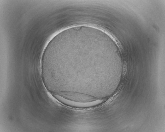 X0000115321535200912141147