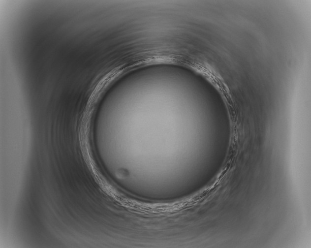 X0000115330001200911091254
