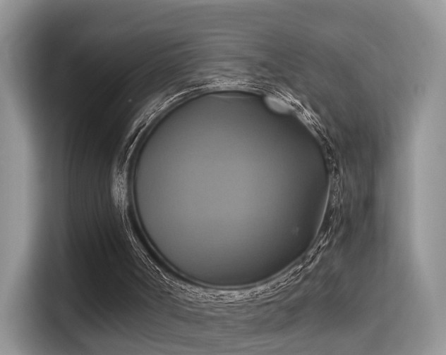 X0000115330002200911091254
