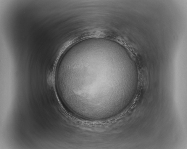 X0000115330003200911091254