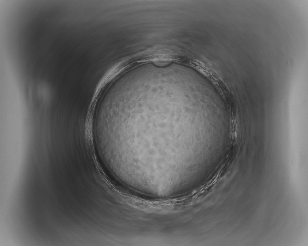 X0000115330004200911091254