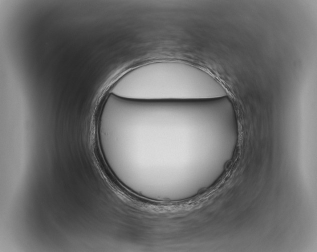 X0000115330005200911091254