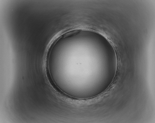 X0000115330007200911091254