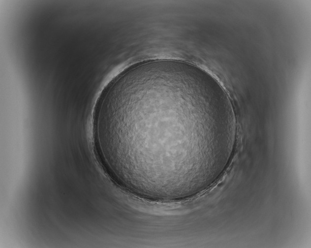 X0000115330008200911091254
