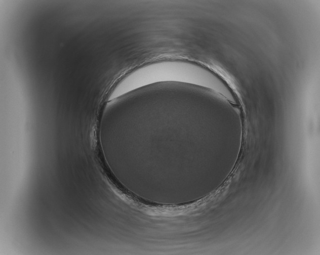X0000115330009200911091254