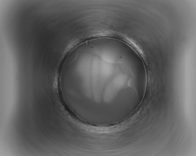 X0000115330010200911091254