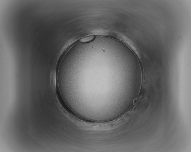X0000115330011200911091254