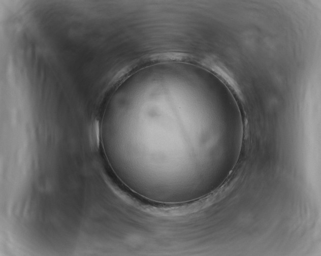 X0000115330013200911091254