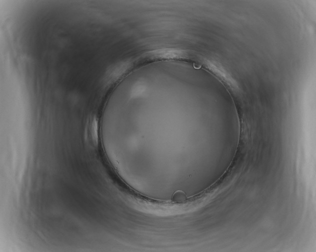 X0000115330014200911091254
