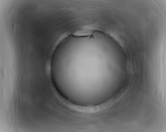 X0000115330015200911091254