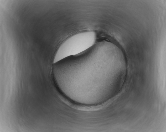 X0000115330017200911091254