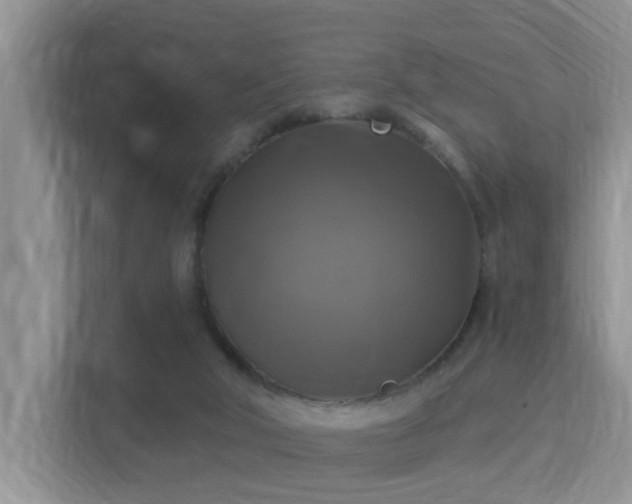 X0000115330018200911091254