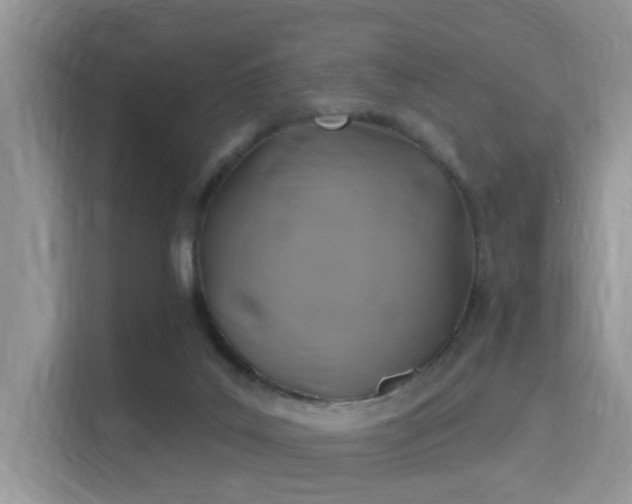 X0000115330019200911091254
