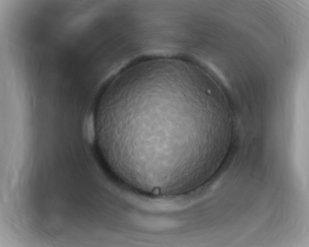 X0000115330020200911091254