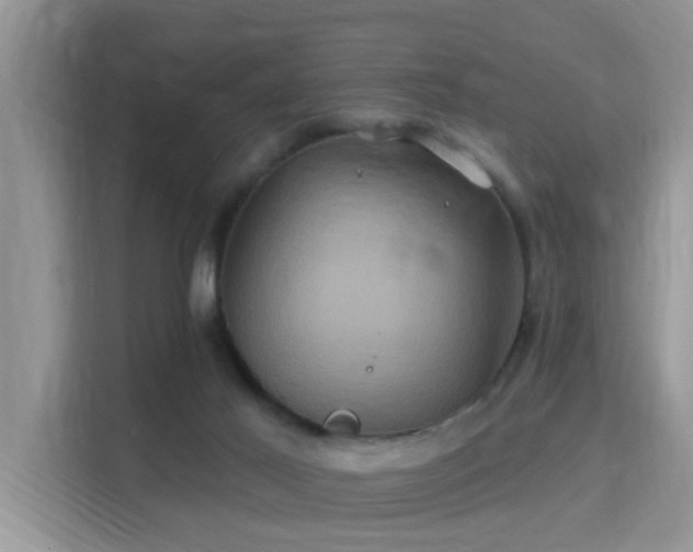 X0000115330021200911091254