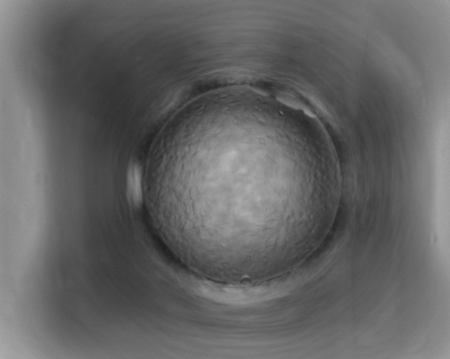 X0000115330022200911091254