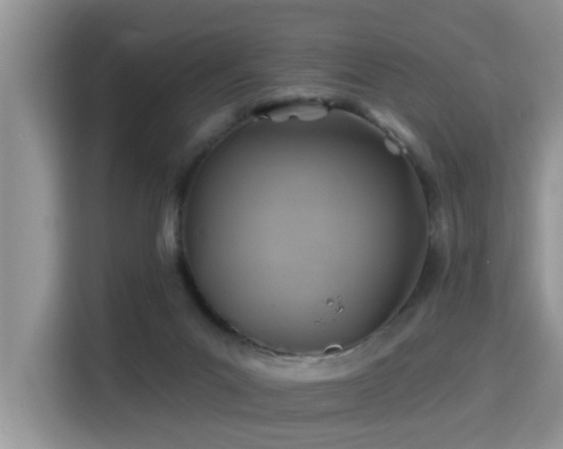 X0000115330023200911091254