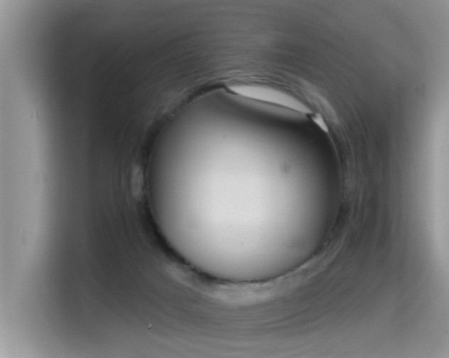 X0000115330025200911091254