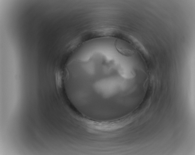 X0000115330026200911091254
