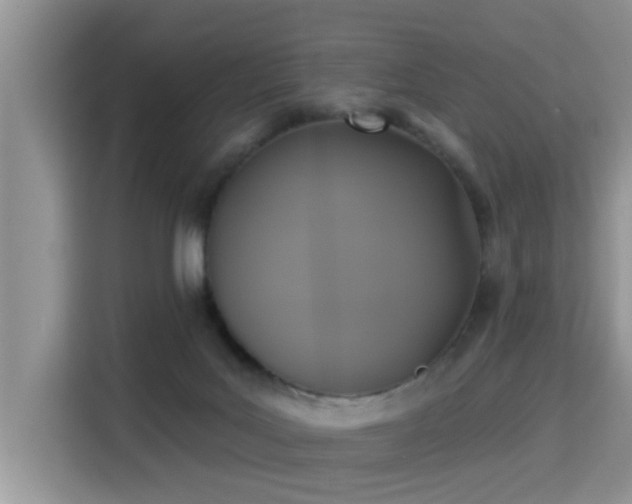 X0000115330027200911091254