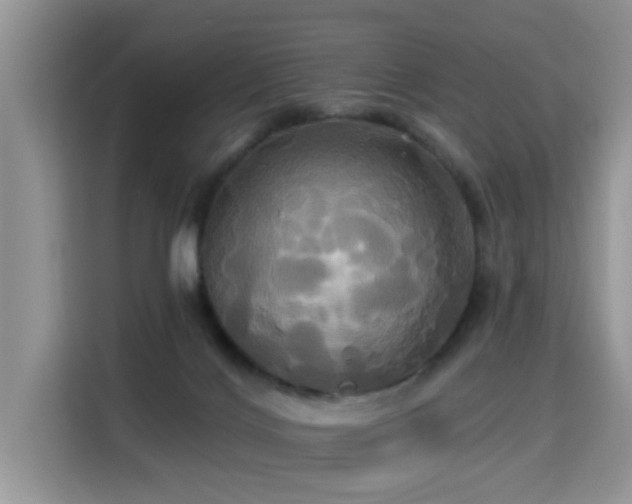 X0000115330028200911091254