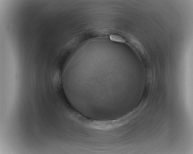 X0000115330029200911091254