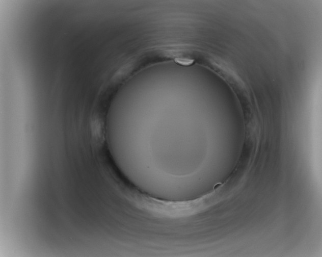 X0000115330031200911091254