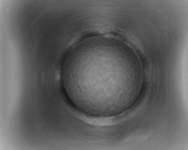 X0000115330032200911091254
