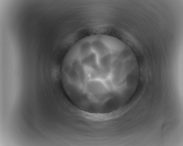 X0000115330034200911091254