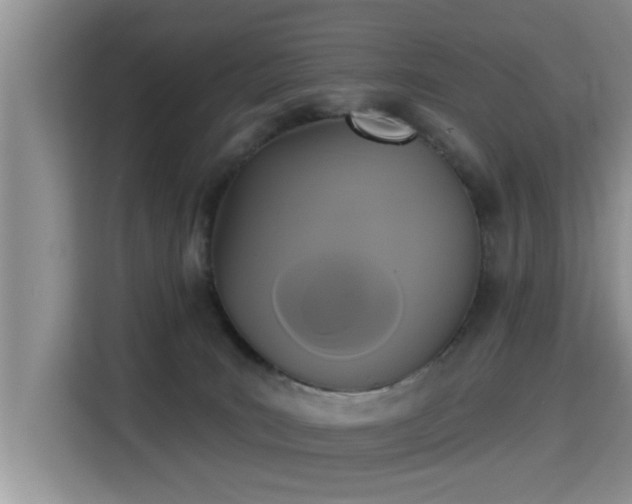 X0000115330035200911091254
