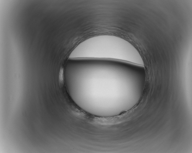 X0000115330041200911091254