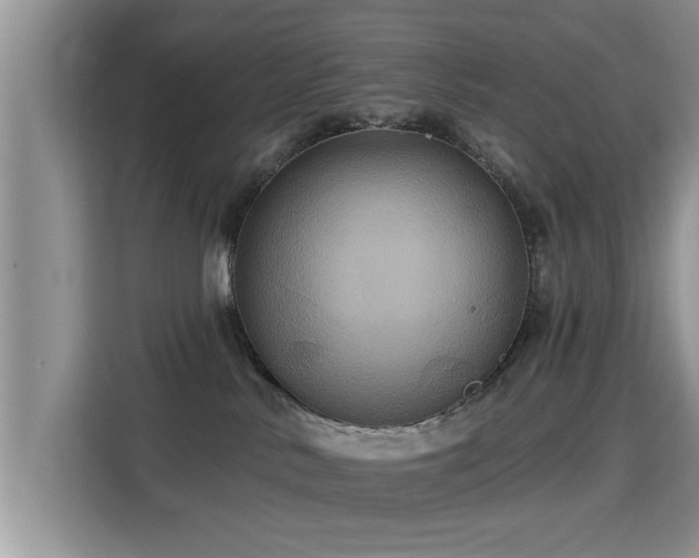 X0000115330042200911091254