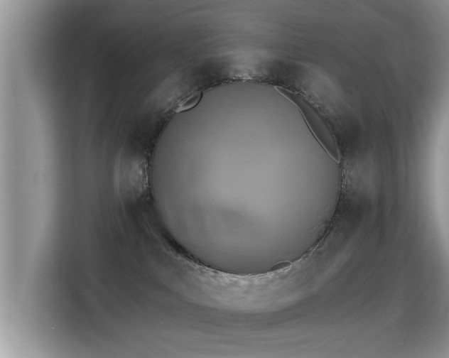 X0000115330043200911091254