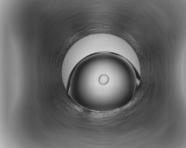 X0000115330045200911091254