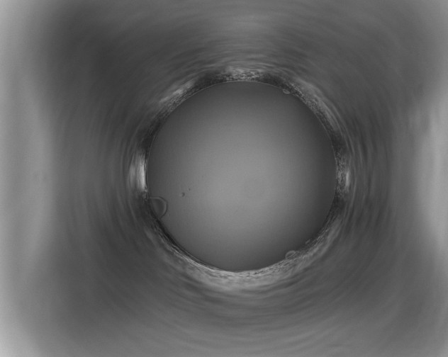 X0000115330046200911091254