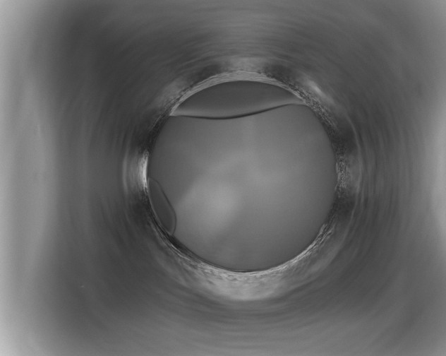 X0000115330047200911091254