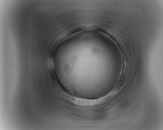X0000115330048200911091254