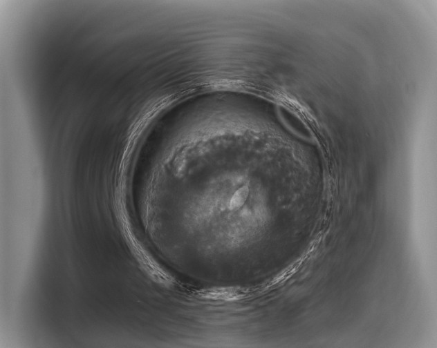 X0000115330049200911091253