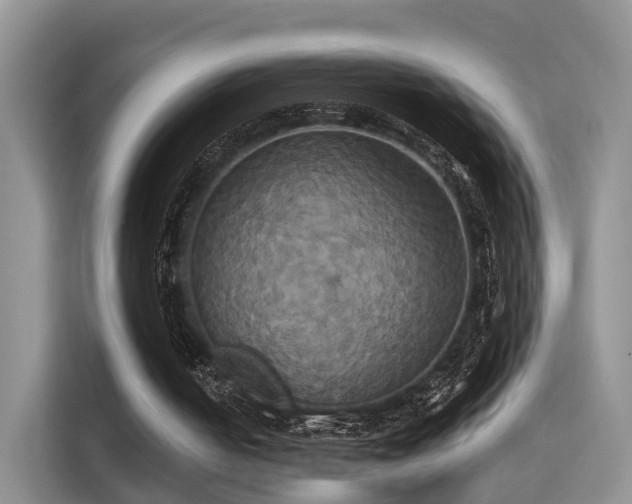 X0000115330050200911091253